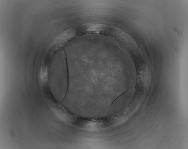 X0000113240504200910081301