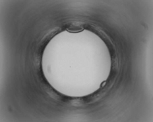 X0000113240505200910081301