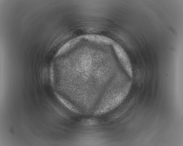 X0000113240506200910081301