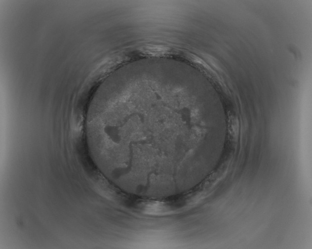 X0000113240507200910081301
