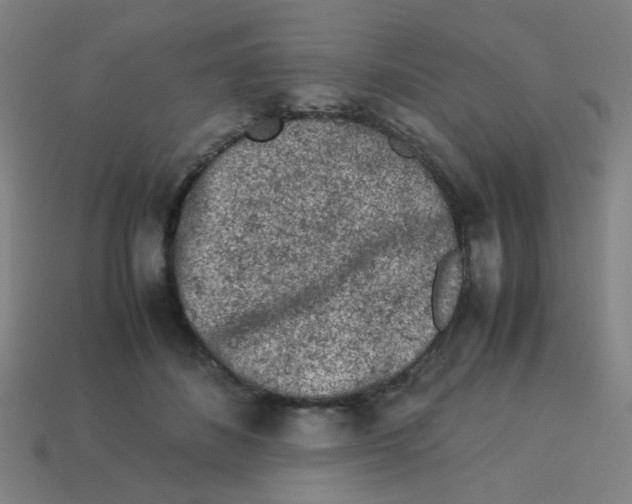 X0000113240508200910081301