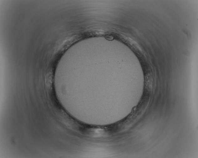 X0000113240509200910081301