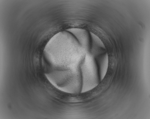 X0000113240510200910081301