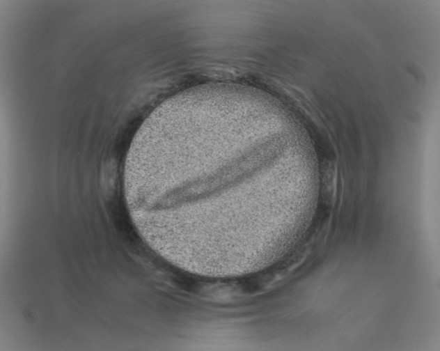 X0000113240511200910081301