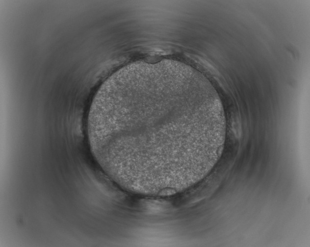 X0000113240512200910081301