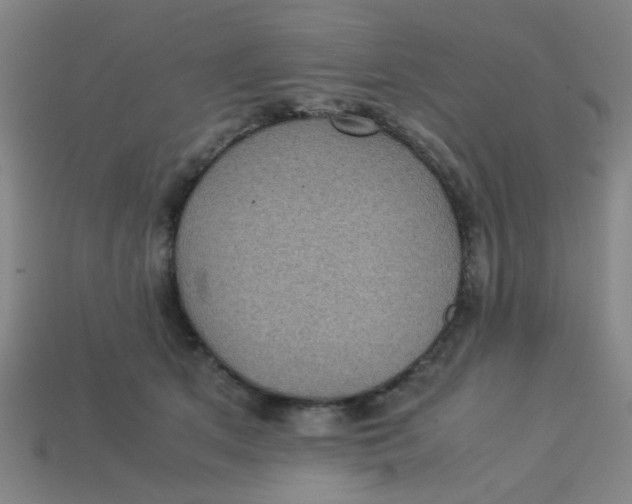 X0000113240513200910081300