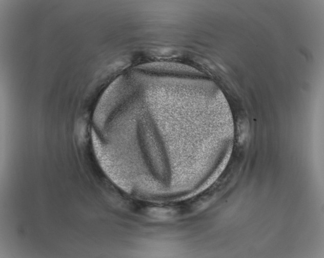 X0000113240515200910081300
