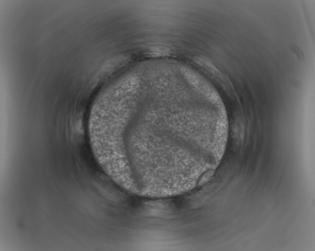 X0000113240516200910081300