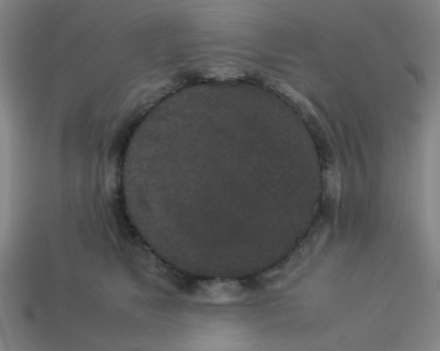 X0000113240517200910081300