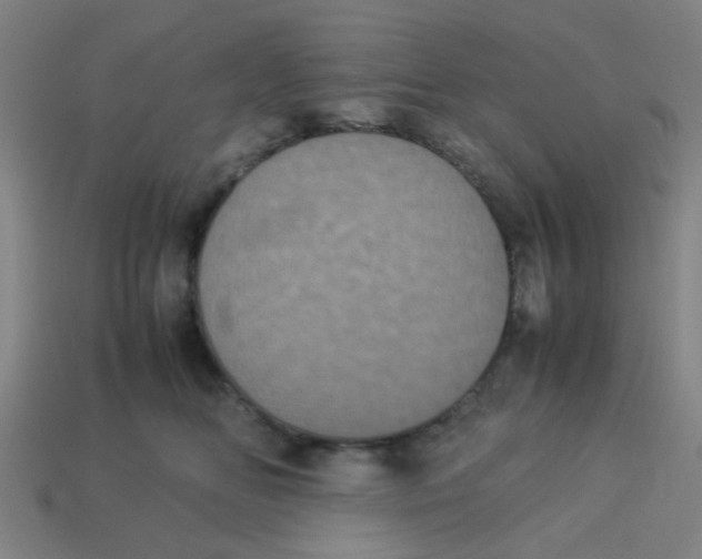 X0000113240518200910081300