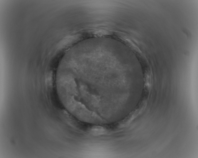 X0000113240519200910081300