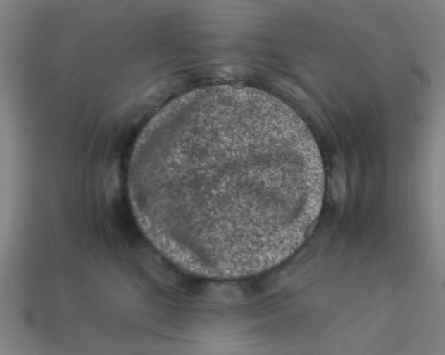 X0000113240520200910081300
