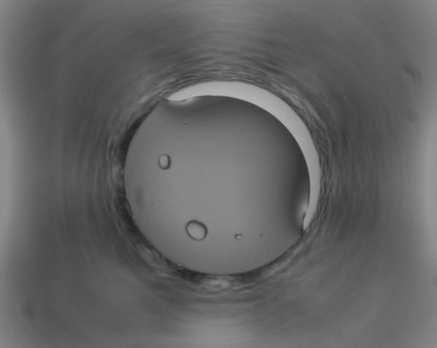X0000113240521200910081300