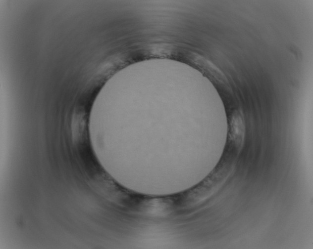 X0000113240522200910081300