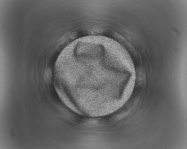 X0000113240523200910081300