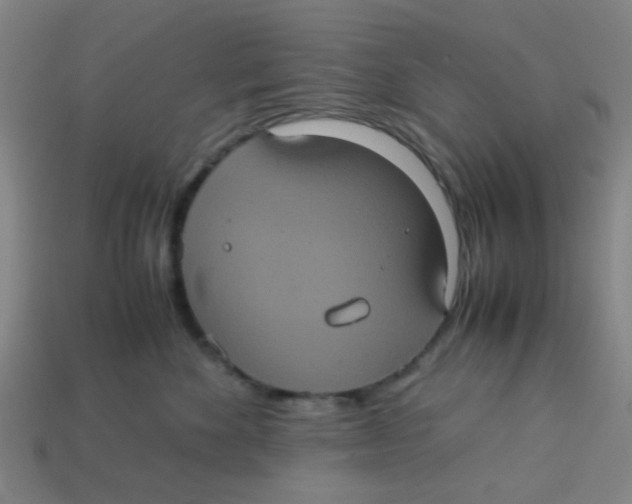 X0000113240524200910081300