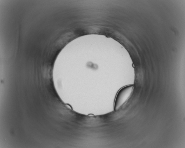 X0000113240525200910081300
