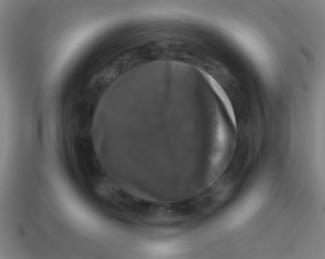 X0000113240526200910081300