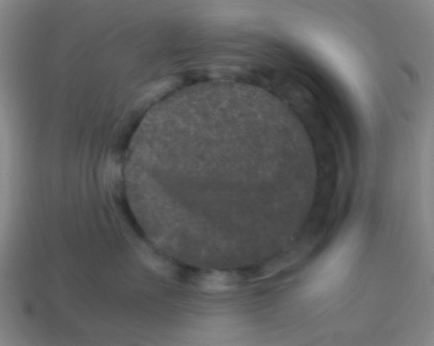 X0000113240527200910081300