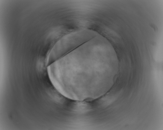 X0000113240528200910081300