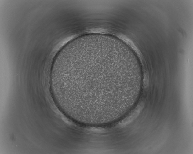 X0000113240529200910081300