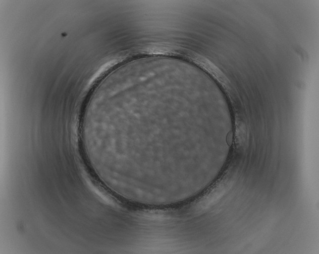 X0000113240530200910081300