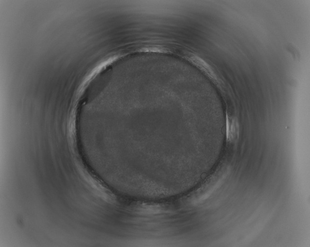 X0000113240531200910081300