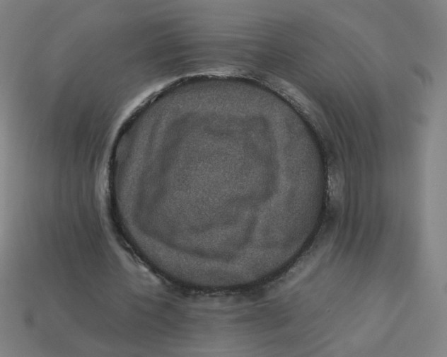 X0000113240532200910081300
