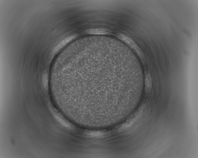 X0000113240533200910081300