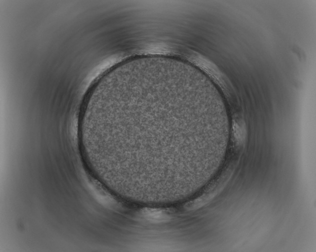 X0000113240534200910081300