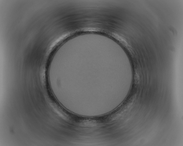 X0000113240535200910081300