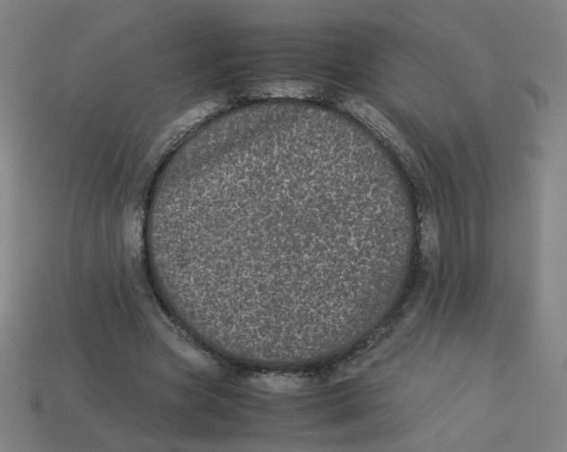 X0000113240537200910081300
