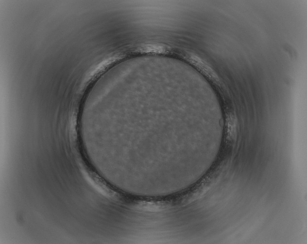 X0000113240538200910081300