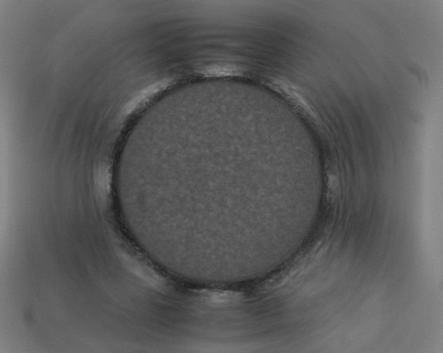 X0000113240539200910081300