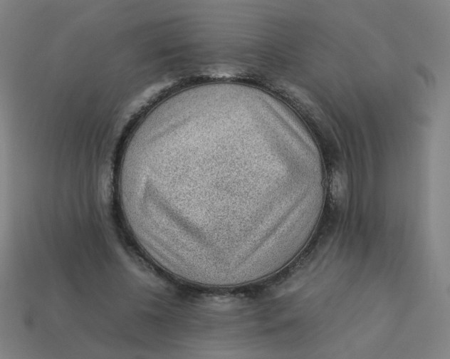 X0000113240540200910081300