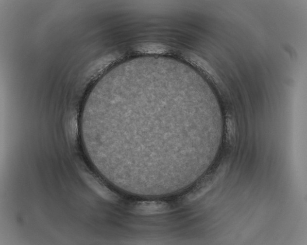 X0000113240541200910081300