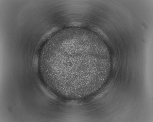 X0000113240542200910081300
