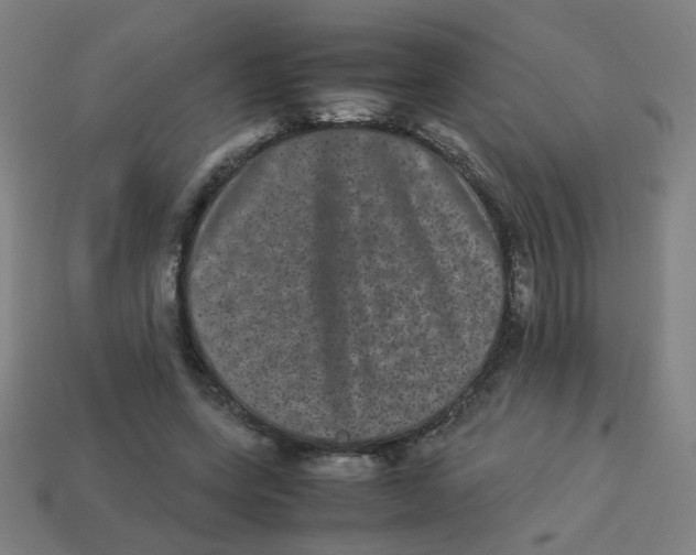 X0000113240543200910081300