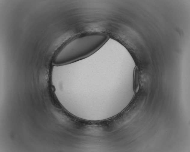 X0000113240544200910081300