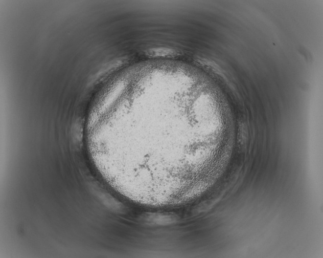 X0000113240545200910081300