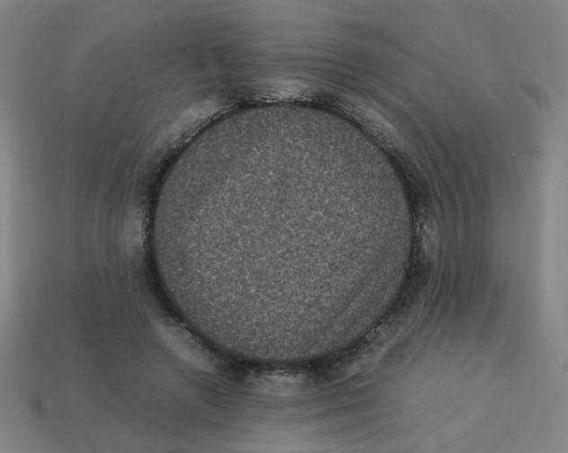 X0000113240546200910081300