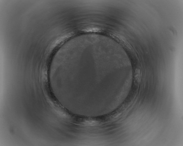X0000113240547200910081300