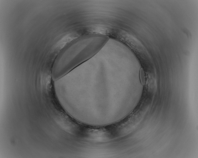 X0000113240548200910081300