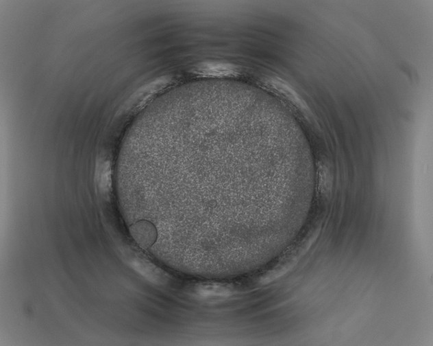 X0000113240549200910081300