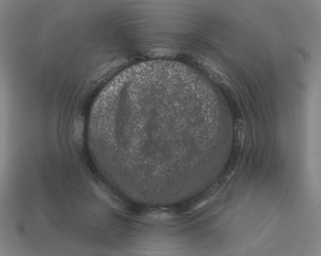 X0000113240550200910081300