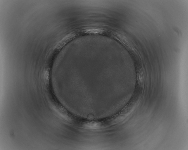 X0000113240551200910081300