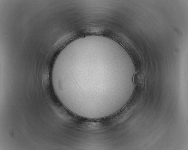 X0000113240552200910081300