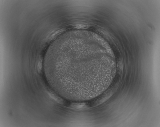 X0000113240554200910081300