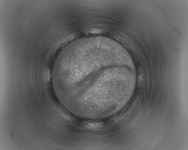 X0000113240555200910081300