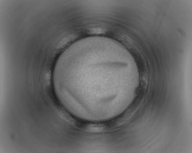X0000113240556200910081300